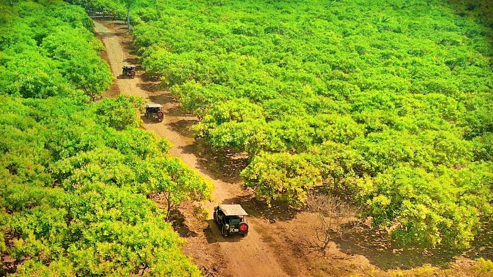 Siem Reap to Phnom Penh: The road less traveled