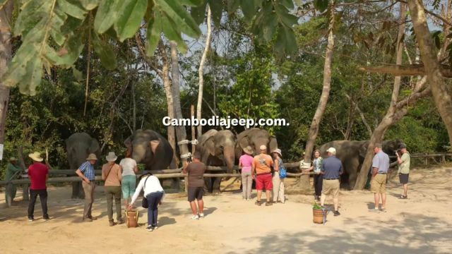 [English Below]
ដំណើរកម្សាន្តផ្សារភ្ជាប់ជាមួយនឹងធម្មជាតិ នៅលើដែនដីភ្នំគូលែន ខេត្តសៀមរាប!

An adventure journey connected with nature at Kulen Mountain in Siem Reap Province!

👉ទាក់ទងមក​​យើងសម្រាប់ពត៌មានបន្ថែម /​𝐅𝐨𝐫 𝐦𝐨𝐫𝐞 𝐢𝐧𝐟𝐨 𝐚𝐛𝐨𝐮𝐭 𝐣𝐞𝐞𝐩 𝐭𝐨𝐮𝐫𝐬:
☎️ 012 908 524 / 098 908 524 / 086 513118
📬 info@cambodiajeep.com
🌏 www.cambodiajeep.com
Booking Now: https://cambodiajeep.com/siem-reap-jeep-tours/

#sunset #CambodiaJeepTour #Cambodiajeep #Adventure #Cambodia