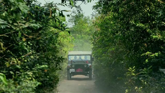 [English Below]
ដំណើរកម្សាន្តទស្សនាប្រាសាទសំខាន់ៗទាំង៣ នៅជុំវិញវង់តូច!

Explore the 3 major temples around the small circuit!
👉For more info. about jeep tours & booking: tours:
☎️+855(0) 98 513 118 / +855 (0)98 908 524 
Telegram: +855 (0) 98 513118
📬info@cambodiajeep.com
📬 booking@cambodiajeep.com
🌏www.cambodiajeep.com