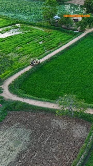 បើក Jeep ឆ្លងកាត់ភូមិស្រុក ស្គាល់សម្រស់ពិតរបស់កម្ពុជា។

👉 ចង់ជួលឡានហ្សុីបអាចទាក់ទងមកកាន់លេខ និង គេហទំព័រខាងក្រោមបាន៖
☎️ 012 908 524 / 098 908 524 / 098 513118
👉 https://cambodiajeep.com/rent-a-jeep/

#ឡានជួលសៀមរាប #ឡានជួល #សៀមរាប #ភ្ជុំបិណ្ឌ #ឡានជួលនៅសៀមរាប #jeeptoursiemreap #jeepincambodia #ឡានជួលបេីកបរខ្លួនឯង #cambodiajeep #cambodiajeep #jeep #angkorwat