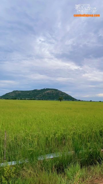 ទេសភាពវាលស្រែនៅភ្នំក្រោមជាមួយឡានហ្សុីប!!

￼
ទាក់ទងមក​​យើងសម្រាប់ពត៌មានបន្ថែម /​𝐅𝐨𝐫 𝐦𝐨𝐫𝐞 𝐢𝐧𝐟𝐨 𝐚𝐛𝐨𝐮𝐭 𝐣𝐞𝐞𝐩 𝐭𝐨𝐮𝐫𝐬:
￼
👉 ចង់ជួលឡានហ្សុីបអាចទាក់ទងមកកាន់លេខ និង គេហទំព័រខាងក្រោមបាន៖
☎️ 012 908 524 / 098 908 524 / 098 513118
👉 https://cambodiajeep.com/rent-a-jeep/

#ឡានជួលសៀមរាប #ឡានជួល #សៀមរាប #ឡានជួលនៅសៀមរាប #cambodiajeep