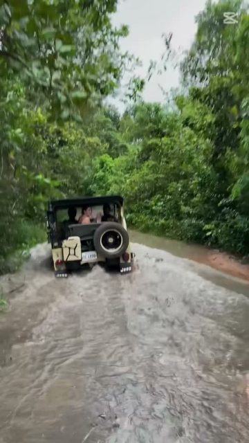 Relax ជាមួយJeep😁
📍 រថយន្តស្អាត​ និង​​​ ល្អ
📍 មានជាងពិនិត្យរាល់ថ្ងៃ
📍 មានច្រើនពណ៌ ច្រើនជម្រើស

📲 ទាក់ទងតាម Telegram : 098 908 524 / 098 513 118
🌍 www.cambodiajeep.com

#ឡានជួលសៀមរាប #ឡានជួល #cambodiajeep #jeep #ហ្សុីប