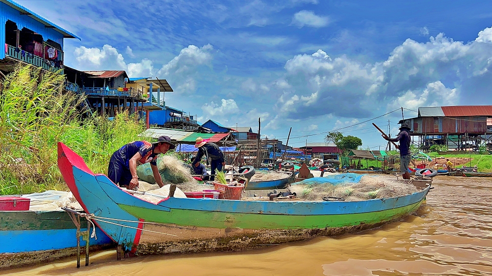 Living on stilts