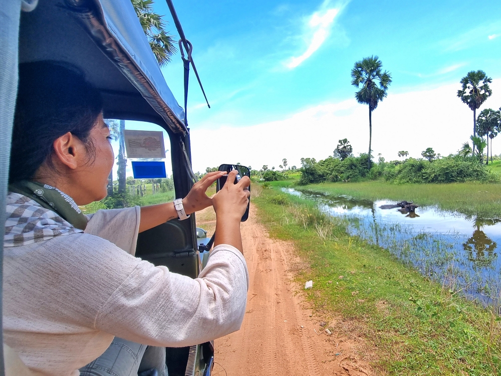 Taking pictures countryside