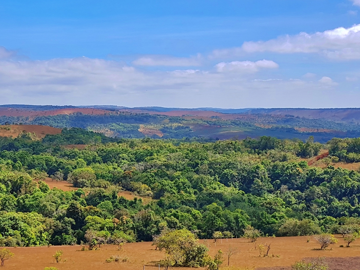 View Mondulkiri