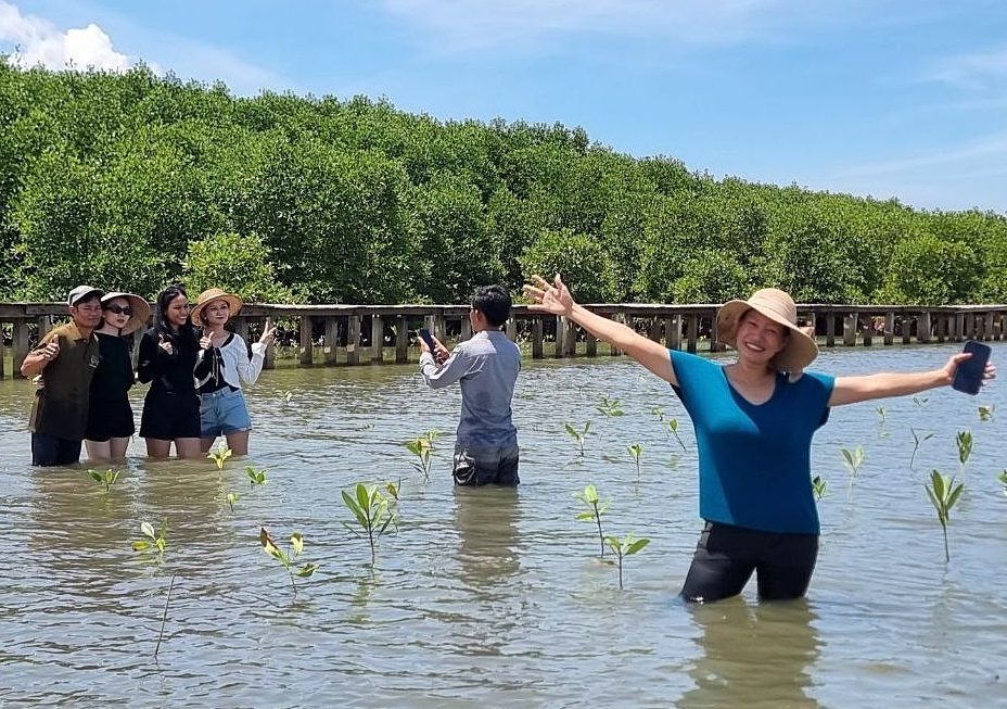 Mangrove forest Kampot
