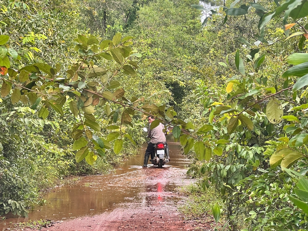 Alternative road